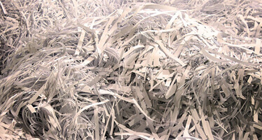 Pile of shredded paper.